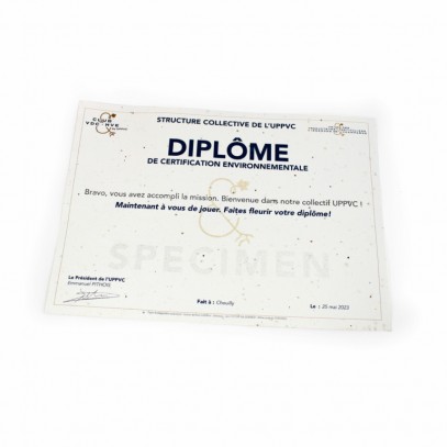 DIPLOME A4 EN PAPIER GRAINES