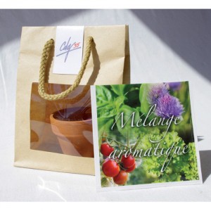 POCHON EN KRAFT SEMIS AVEC POT