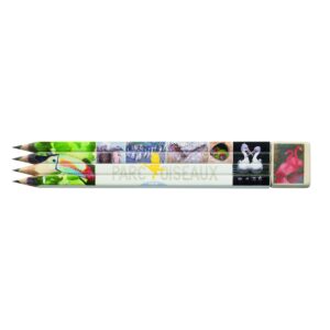 SET ÉCRITURE 4 CRAYONS + GOMME