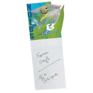 BLOC MAGNETIQUE A LA FORME