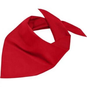 FOULARD BANDANA TRIANGLE MYRTLE BEACH