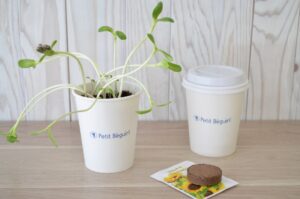 KIT DE PLANTATION DANS UN POT CARTON