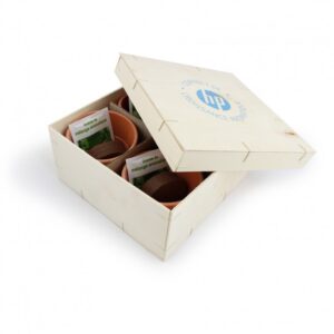 COFFRET AROMATIQUE BOIS