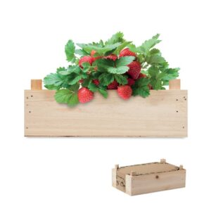 KIT DE CULTURE DE FRAISES STRAWBERRY