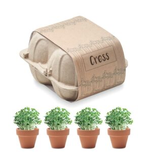 LOT DE 4 POTS AVEC GRAINES DE CRESSON CRESS