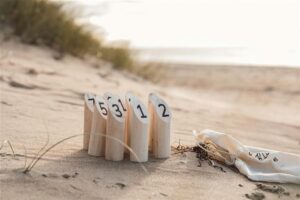 JEU DE QUILLES SCANDINAVES MUGE VINGA