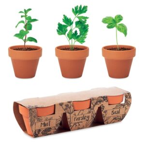 KIT DE CULTURE DE 3 PLANTES DANS DES POTS EN TERRE CUITE FLOWERPOT