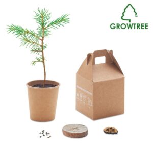 KIT DE GRAINES DE PIN AVEC POT GROWTREE™