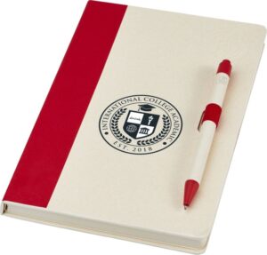 ENSEMBLE CARNET DE NOTES A5 ET STYLO BILLE DAIRY DREAM