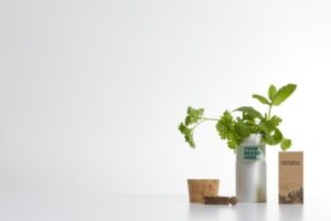 JARDINET DE BUREAU AVEC MELANGE D'HERBES AROMATIQUES HEY POTS