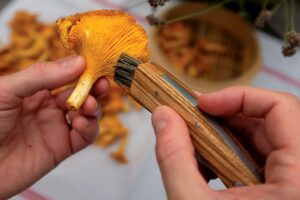 COUTEAU A CHAMPIGNON