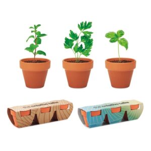 KIT DE CULTURE DE 3 PLANTES DANS DES POTS EN TERRE CUITE FLOWERPOT