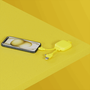 BATTERIE 3 000 mAh AVEC CABLES GAMMA LITE